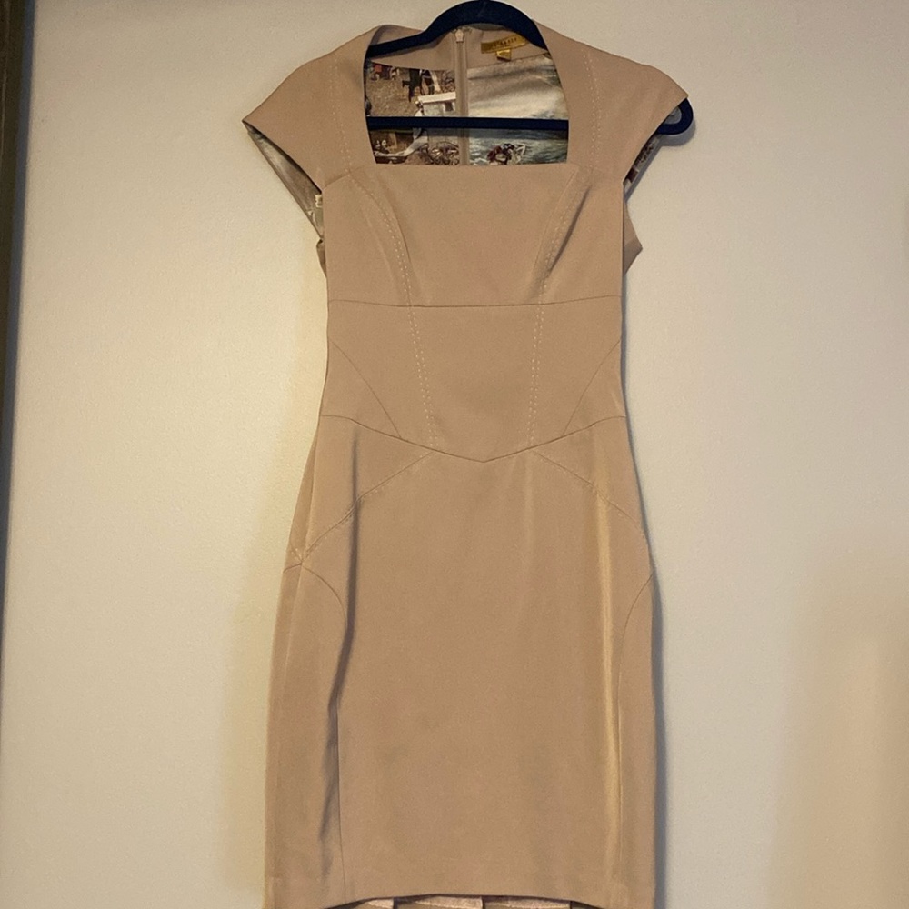 Ted Baker bodycon panel dress
